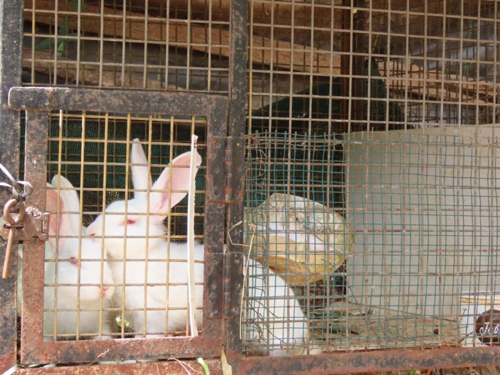 Spice Garden Farm House Султан Батери Екстериор снимка